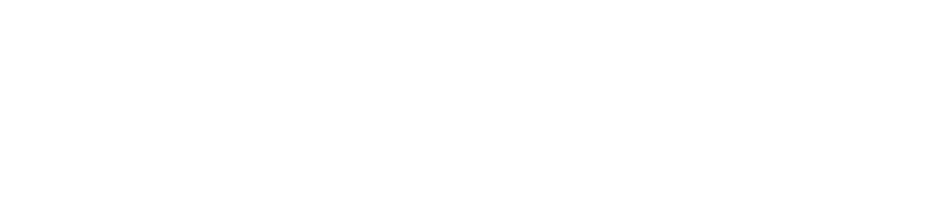 White logo - no background
